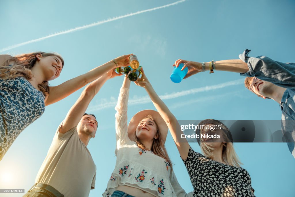 Friends toasting bottles and having a picnic on field