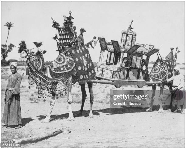 antique photographs of holy land, egypt and middle east: marriage ceremony, cairo - jordan middle east stock illustrations