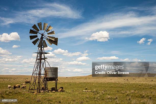 windmill & water pump - australia farm foto e immagini stock