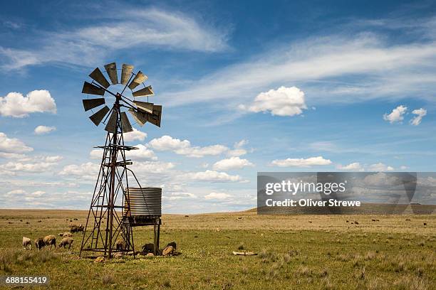 windmill & water pump - nimmitabel stock pictures, royalty-free photos & images