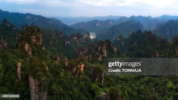 panoramic zhangjiajie national forest park, hunan, china - national forest stock pictures, royalty-free photos & images