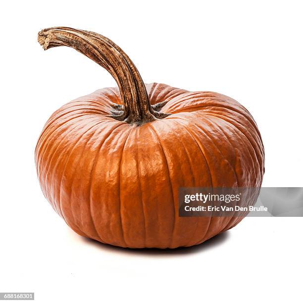 pumpkin silhouette - eric van den brulle stock pictures, royalty-free photos & images