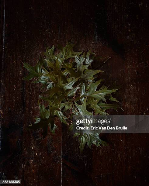 autumn leaves on a rustic wooden table - eric van den brulle stockfoto's en -beelden