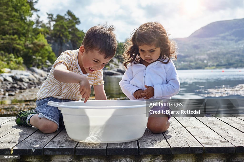 Children catching fish in tub