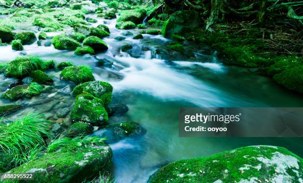 mountain stream flow through moss covered rocks - ibaraki stock pictures, royalty-free photos & images
