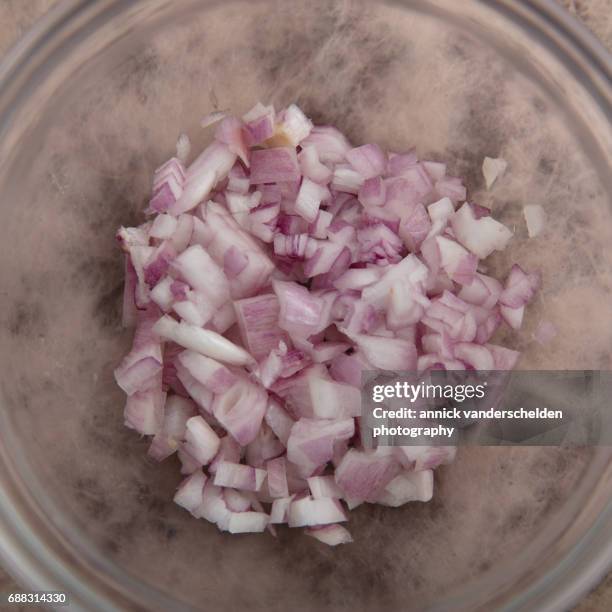 shallot and chopped shallot. - shallot stock pictures, royalty-free photos & images