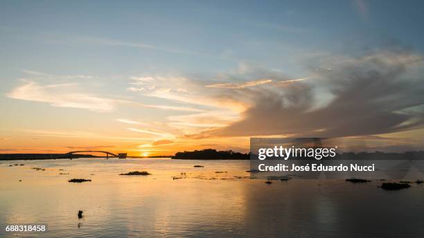 pantanal sunset - mato grosso state 個照片及圖片檔