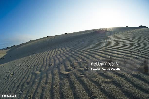Nipomo sand dunes on September 8, 2016 in Guadalupe, California.