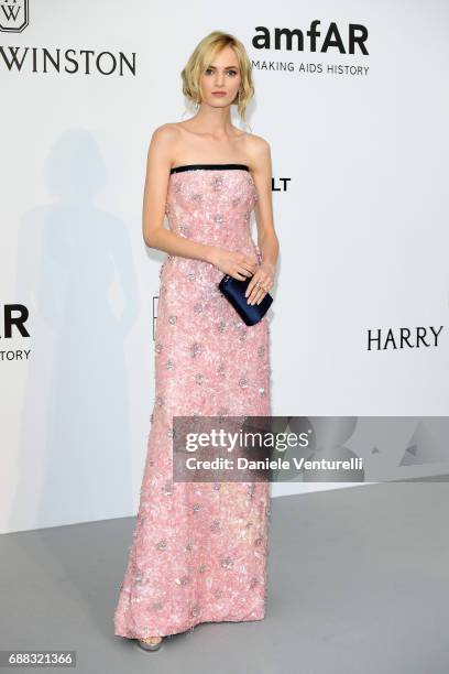 Daria Strokous arrives at the amfAR Gala Cannes 2017 at Hotel du Cap-Eden-Roc on May 25, 2017 in Cap d'Antibes, France.