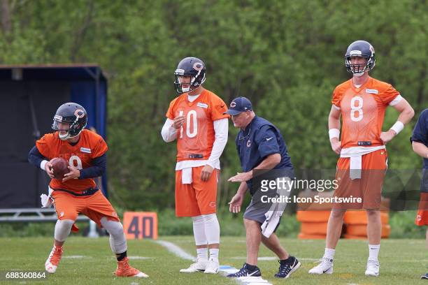 Chicago Bears quarterback Mike Glennon , Chicago Bears quarterback Connor Shaw and Chicago Bears quarterback Mitchell Trubisky participate in drills...