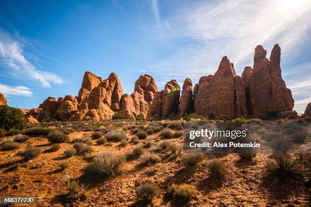 de devils garden, arches nationaal park, utah - devils garden arches national park stockfoto's en -beelden