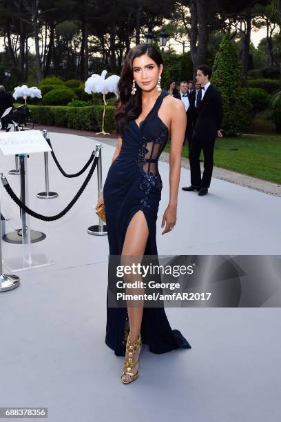 Praya Lundberg arrives at the amfAR Gala Cannes 2017 at Hotel du Cap-Eden-Roc on May 25, 2017 in Cap d'Antibes, France.