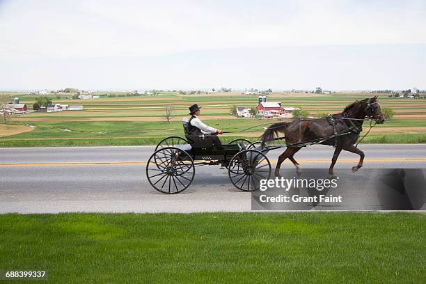 man with buggy. - lancaster-pennsylvania photos et images de collection