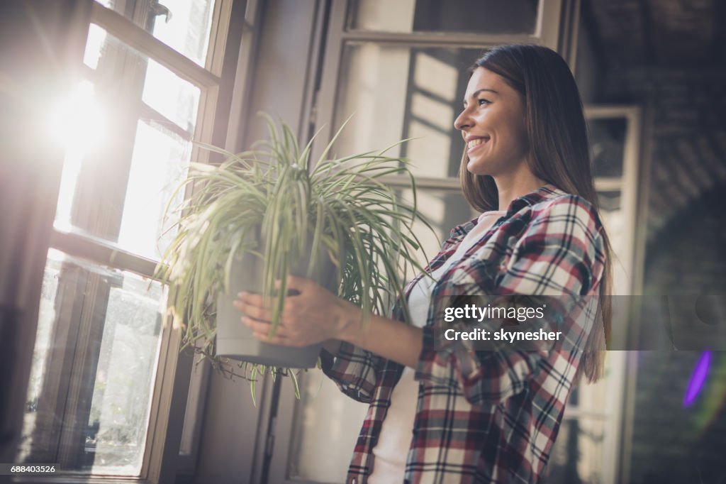 Giovane donna felice con pianta di ragno vicino alla finestra.