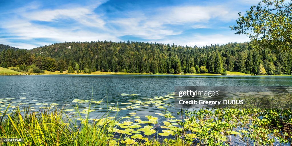Wonderful small altitude french Genin lake in middle of wild pine forest in summer in Jura mountains