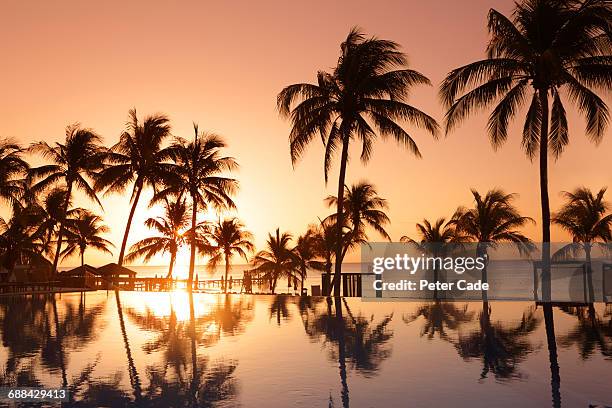 tropical pool and beach at sunset - strandhütte stock-fotos und bilder