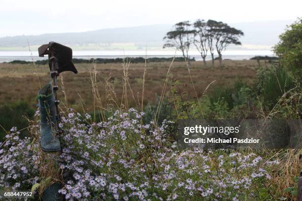 78 Dornoch Firth Stock Photos High Res Pictures And Images Getty Images 78-dornoch-firth-stock-photos-high-res-pictures-and-images-getty-images