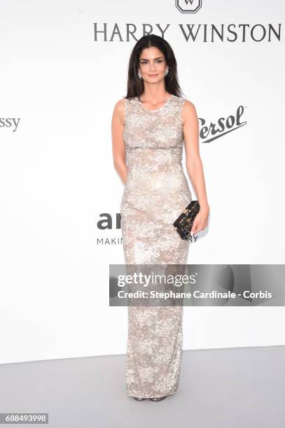 Shermine Shahrivar arrives at the amfAR Gala Cannes 2017 at Hotel du Cap-Eden-Roc on May 25, 2017 in Cap d'Antibes, France.