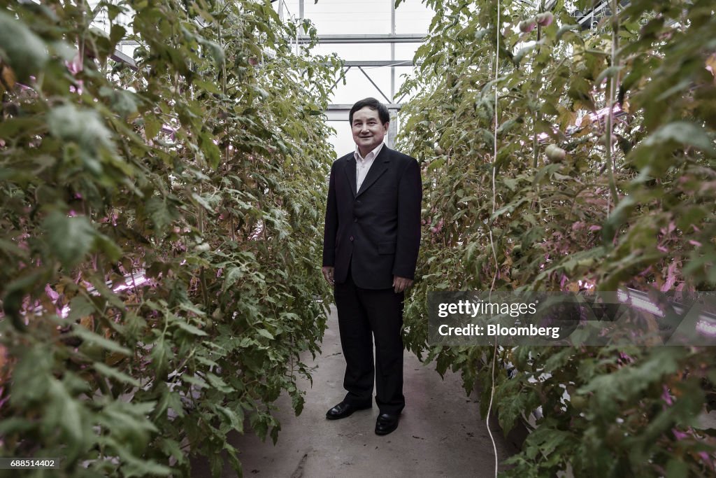 Government Funded Research On The Rooftop Greenhouse Of The Chinese Academy of Agricultural Science