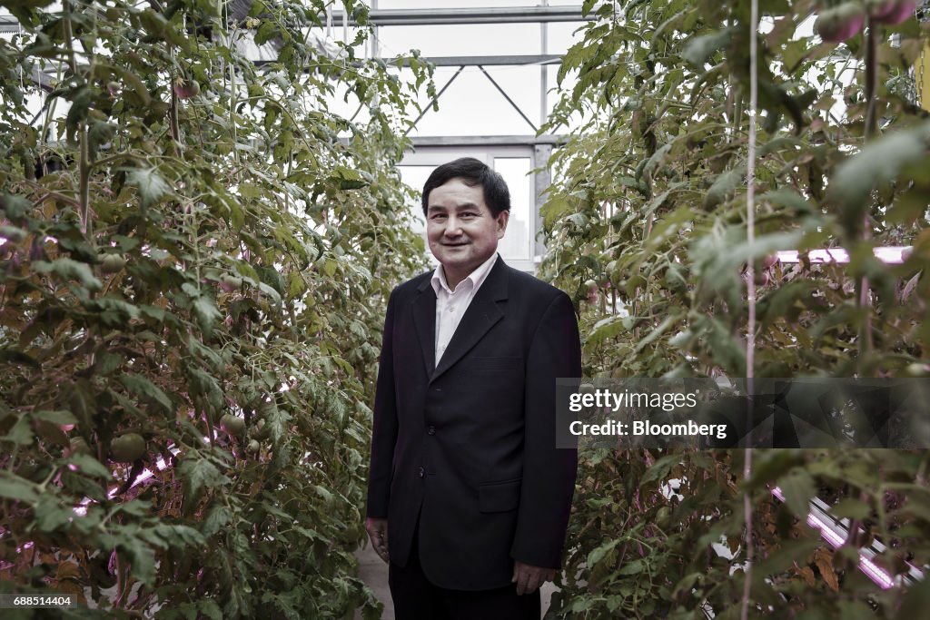 Government Funded Research On The Rooftop Greenhouse Of The Chinese Academy of Agricultural Science