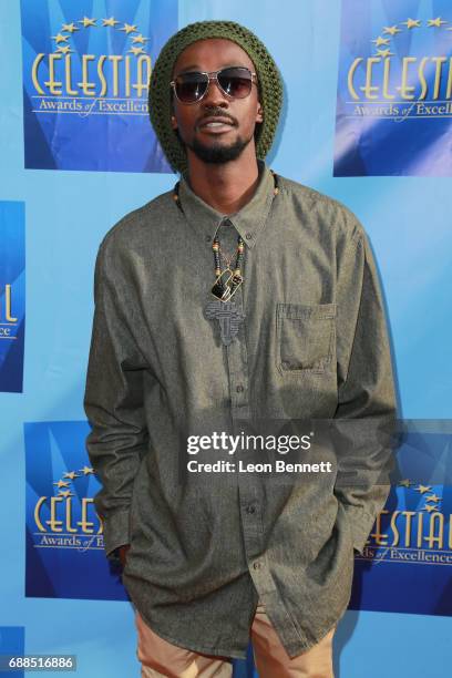 Music artist Gwaii attends the Celestial Awards Of Excellence at Alex Theatre on May 25, 2017 in Glendale, California.