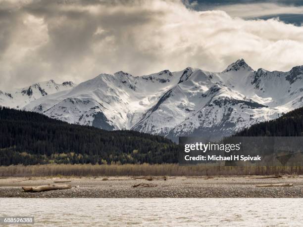 chilkat river alaska - rio chilkat imagens e fotografias de stock