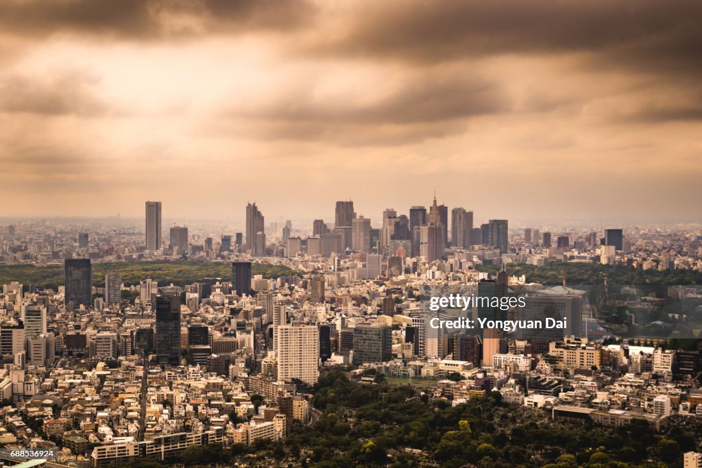 Aerial View of Shinjuku Skyscrapers