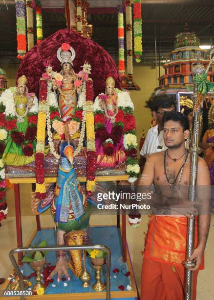 Tamil Hindu devotees escort the idol of Lord Murugan atop a peacock around the temple as part of special prayers during a festival honouring Lord...