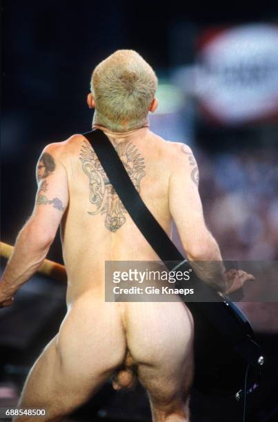 Red Hot Chili Peppers, Flea, Torhout-Werchter Festival, Werchter, Belgium, .