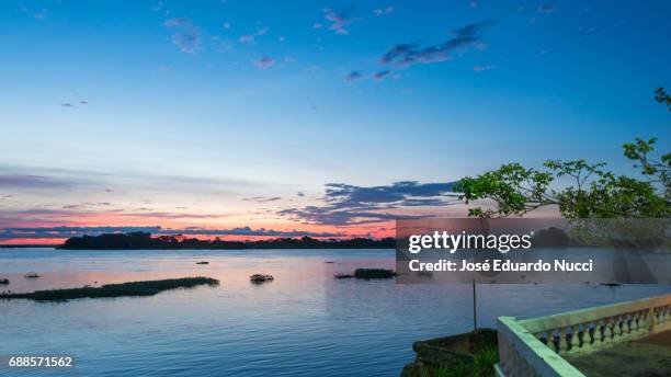 pantanal twilight - imagem a cores ストックフォトと画像