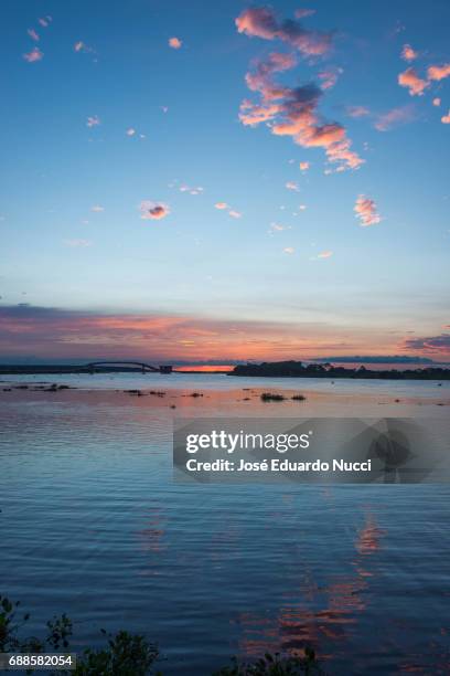 pantanal sunset - imagem a cores ストックフォトと画像