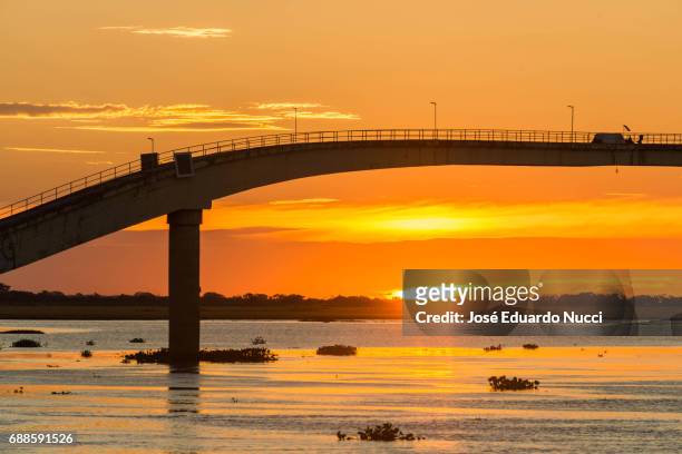 sunset at paraguay river - silhueta stockfoto's en -beelden
