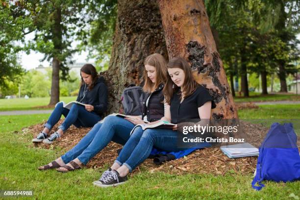 estudiar bajo los árboles - madroño del pacífico fotografías e imágenes de stock