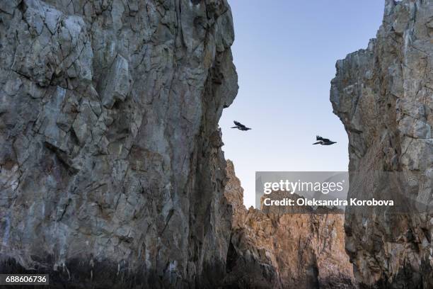 197 Ocean Cove Los Cabos Stock Photos, High-Res Pictures, and Images ...