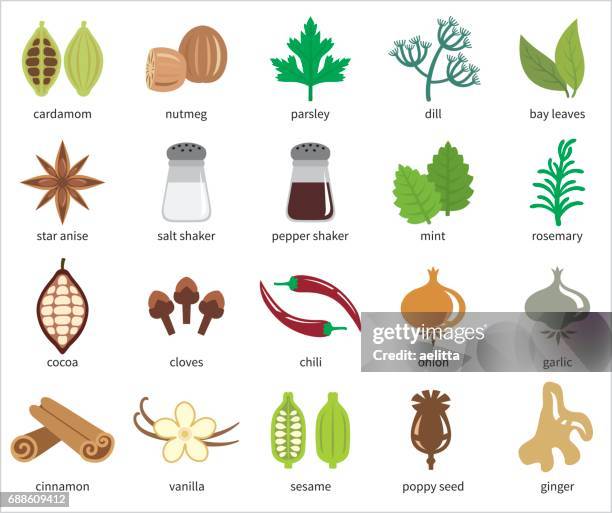 spices vector icon set - nutmeg stock illustrations