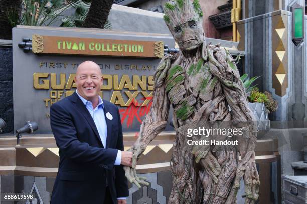 In this handout photo provided by Disney Resorts, Chairman of Walt Disney Parks and Resorts Bob Chapek attends the grand opening of Guardians of The...