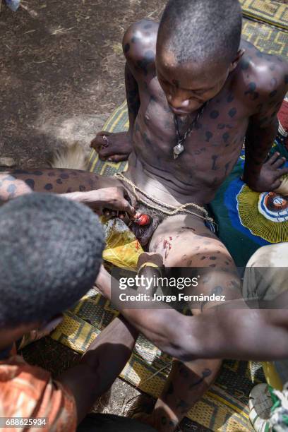 For the Yom tribe, the circumcision ceremony is a very important rite of passage from boys to men. After being circumcised, the crowd take the...