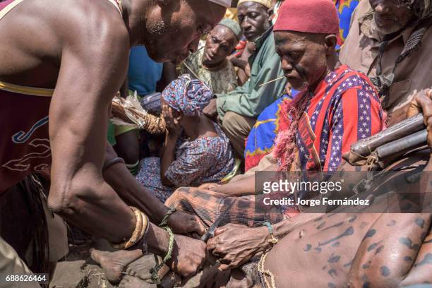 For the Yom tribe, the circumcision ceremony is a very important rite of passage from boys to men. The initiate lays down in the circumcision place,...