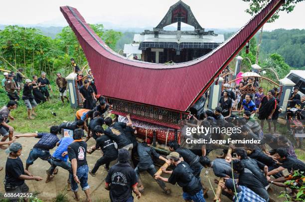 Toraja Ritual Bizarre Funeral Rites Of The Tana Toraja Photos and Premium High Res ...