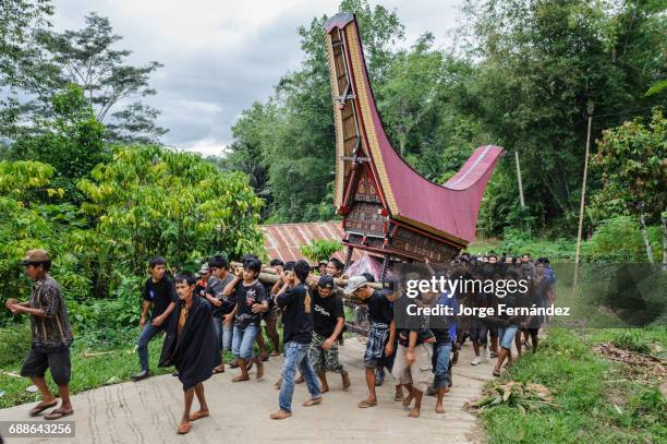 Torajah Communal Ritual Death Rituals Photos and Premium High Res Pictures - Getty Images