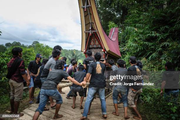 During a traditional ritual funeral of the Tana Toraja the men of the village carry the catafalque in a weird funeral procession in which the people...