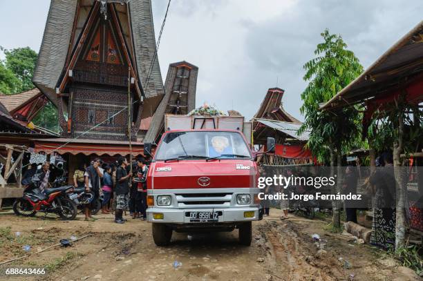 During a traditional ritual funeral of the Tana Toraja. After a few days of funeral celebrations, animal sacrifices and feasts, the day comes to...