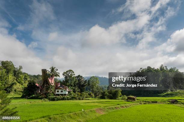 Rice fields and landscape with a traditional house typical of the Tana Toraja.