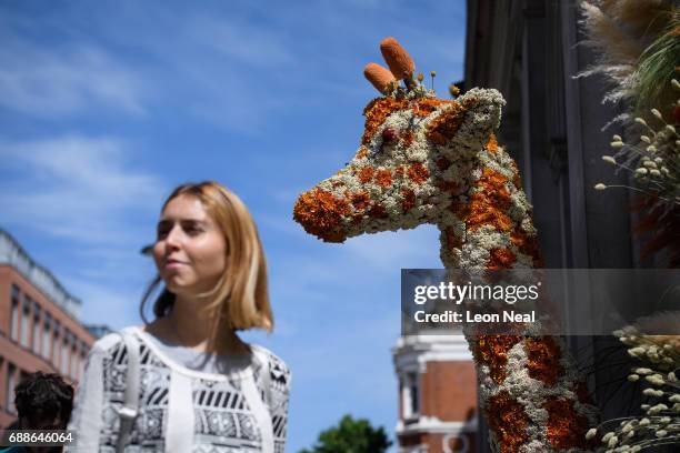 Woman walks past a floral giraffe outside the Rag and Bone clothing store, displayed as part of the "Chelsea in Bloom: Floral Safari" event on May...