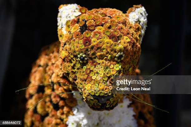 Floral big cat is seen outside Hackett clothing store, displayed as part of the "Chelsea in Bloom: Floral Safari" event on May 22, 2017 in London,...