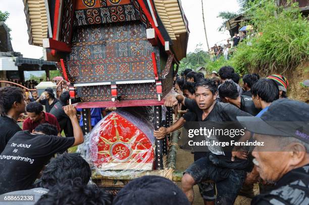 During a traditional ritual funeral of the Tana Toraja the men of the village carry the catafalque in a weird funeral procession in which the people...