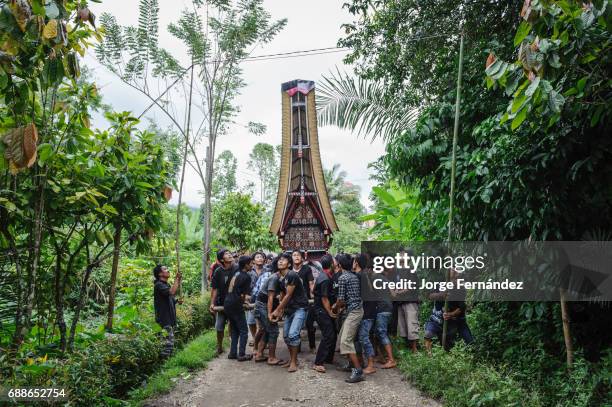 During a traditional ritual funeral of the Tana Toraja the men of the village carry the catafalque in a weird funeral procession in which the people...