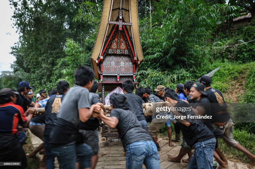 Toraja Ritual During a traditional ritual funeral of the Tana Toraja the men of the ...