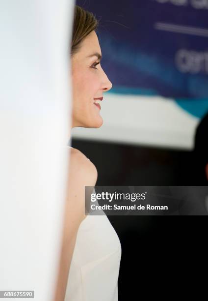 Queen Letizia inaugurate Books Fair 2017 on May 26, 2017 in Madrid, Spain.