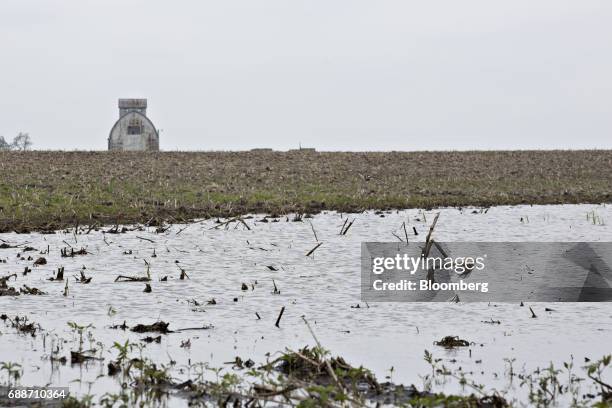 Standing water sits on top of a flooded agricultural field near Earlville, Illinois, U.S., on Thursday May 25, 2017. In the past 30 days, about 40...